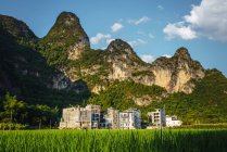 Reisfelder und Gebäude einer chinesischen Kleinstadt in den Bergen, Guangxi, China — Stockfoto