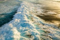 Vague de l'océan avec de la mousse blanche propre et brillante roulant sur le rivage au coucher du soleil — Photo de stock