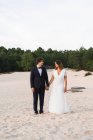 Pareja de boda caminando en la pintoresca costa - foto de stock