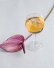 Стакан алкогольного напитка и льда на белом фоне с фиолетовым лепестком лилии — стоковое фото