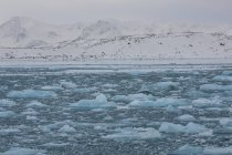 Eis schwimmt im Wasser und schneebedeckte Berge im Hintergrund, Spitzbergen, Norwegen — Stockfoto
