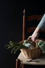 Human hand holding basket of fresh green asparagus on chair on black background — Stock Photo