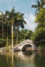 Ponte oriental de pedra no lago no parque tropical, Nanning, China — Fotografia de Stock