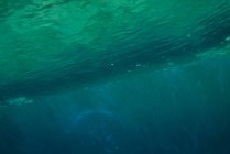 Schöne Meereswelle mit Luftblasen — Stockfoto