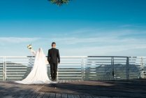Visão traseira da noiva segurando buquê e de pé com o noivo no terraço miradouro contra a paisagem, Phoenix Park, China — Fotografia de Stock
