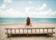 Vista posteriore della donna seduta su legno e guardando l'oceano sulla spiaggia — Foto stock