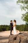 View at distance of couple in wedding gowns standing on rock and embracing happily against green trees and blue sky — Stock Photo