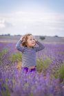 Маленька кучерява невинна дівчинка стоїть у квітучих лавандових квітах і дивиться вгору — стокове фото