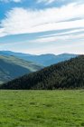 Vue en perspective de la vallée de montagnes verdoyantes avec des conifères sous le ciel bleu en été — Photo de stock