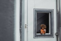 Curly ethnique femme tenant tasse et regardant par la fenêtre — Photo de stock