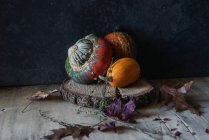 Colorful pumpkin composition on wooden piece on dark background — Stock Photo