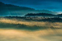 Breathtaking view of heavy rain over fog and forest in evening. — Stock Photo