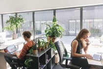 Мужчины сидят за столами друг напротив друга внутри открытого офиса и работают за компьютерами в солнечном свете — стоковое фото