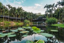 Teich im Park mit Seerosenpads und orientalischem Gebäude im Hintergrund, Sonnenbrille, Porzellan — Stockfoto
