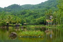 Пейзаж зеленого спокойного озера в тропических лесах Яноды с пышной тропической растительностью на холмах, провинция Хайнань, Китай — стоковое фото