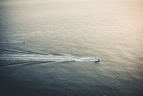 Barcos aéreos nadando en el agua - foto de stock