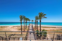 Hübsche Palmen wachsen auf beiden Seiten der Seebrücke am schönen Strand an sonnigen Tagen. — Stockfoto