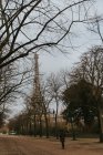 Back view of unrecognizable woman walking in the park on background of Eiffel tower in Paris, France. — Foto stock