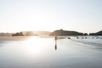 Silhouette einer Frau auf nassem Sand in der Nähe des Meeres am sonnigen Tag — Stockfoto