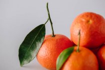 Heap of fresh ripe unpeeled tangerines with green leaves on gray background — Stock Photo