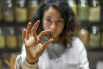 Spice seller holding anise star — Stock Photo