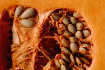 Meio fresco suculento de abóbora de laranja com sementes e carne — Fotografia de Stock