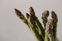 Gambi verdi di asparagi freschi su sfondo grigio — Foto stock