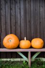 Various ripe squashes lying on wooden bench near nice shack in countryside — Stock Photo