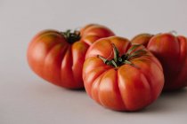 Tomates maduros frescos de temporada sobre fondo gris - foto de stock