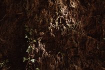 Закрыть вид на каменистую горную стену рядом с травой в Кантоне, Испания — стоковое фото