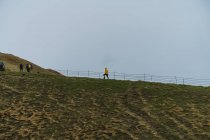 Вид сбоку на туристов, прогуливающихся по лестнице в чудесной исландской сельской местности — стоковое фото