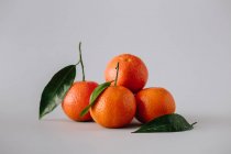 Pilha de tangerinas maduras frescas não descascadas com folhas verdes no fundo cinza — Fotografia de Stock