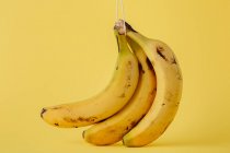 Bando de bananas maduras no fio em fundo amarelo vívido — Fotografia de Stock