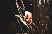 Female hand in black touching dried twig in field — Stock Photo