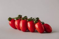 Tomates rojos frescos en rama sobre fondo gris - foto de stock