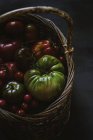 Pomodori freschi raccolti in cesto su fondo grigio — Foto stock