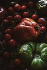 Pomodori freschi raccolti maturi e acerbi in mucchio — Foto stock