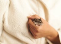 Close-up de mão humana segurando hamster bonito — Fotografia de Stock