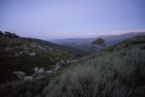 Perspectiva del valle verde en las montañas con rocas y un solo árbol bajo el cielo azul en el crepúsculo, España - foto de stock