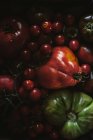 Tomates frescos recogidos maduros e inmaduros en montones - foto de stock