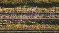 Стара залізниця над брудною річкою в лісі на сонячному світлі? дерева — стокове фото