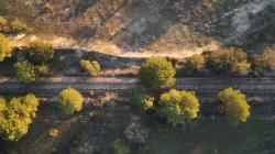 Aerial abandoned train ways on sunlight in empty place with summer trees — Stock Photo