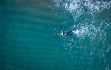 Тренировка триатлонистов в морской воде — стоковое фото