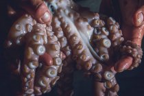 Der Mensch hält einen rohen Oktopus in seinen Händen. Dunkles Foto. — Stockfoto