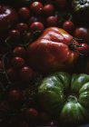 Frisch gepflückte reife und unreife Tomaten im Haufen — Stockfoto