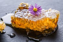 Pettini pieni di miele e piccolo fiore viola sul tavolo . — Foto stock