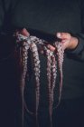 Man holds a raw octopus in his hands. Dark photo. — Stock Photo