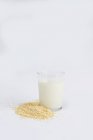 Granos de avena y vaso de leche fresca sobre fondo blanco - foto de stock
