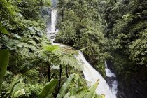 Waterfall in green rainforest, Costa Rica, Central America — Stock Photo