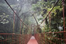 Ponte sospeso rosso che attraversa una magnifica foresta pluviale in Costa Rica, America Centrale — Foto stock